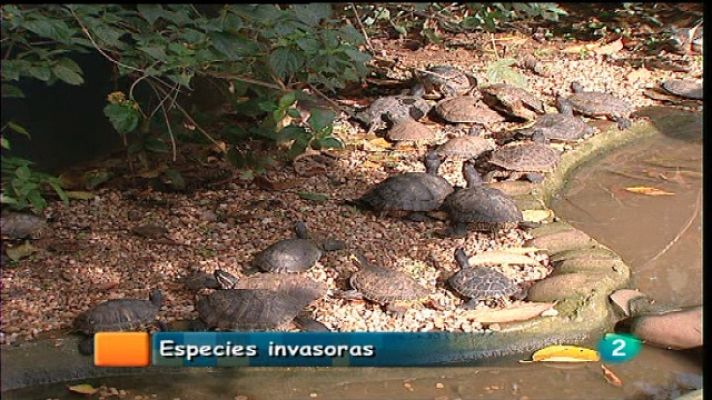 España en comunidad - España en comunidad - 09/01/11