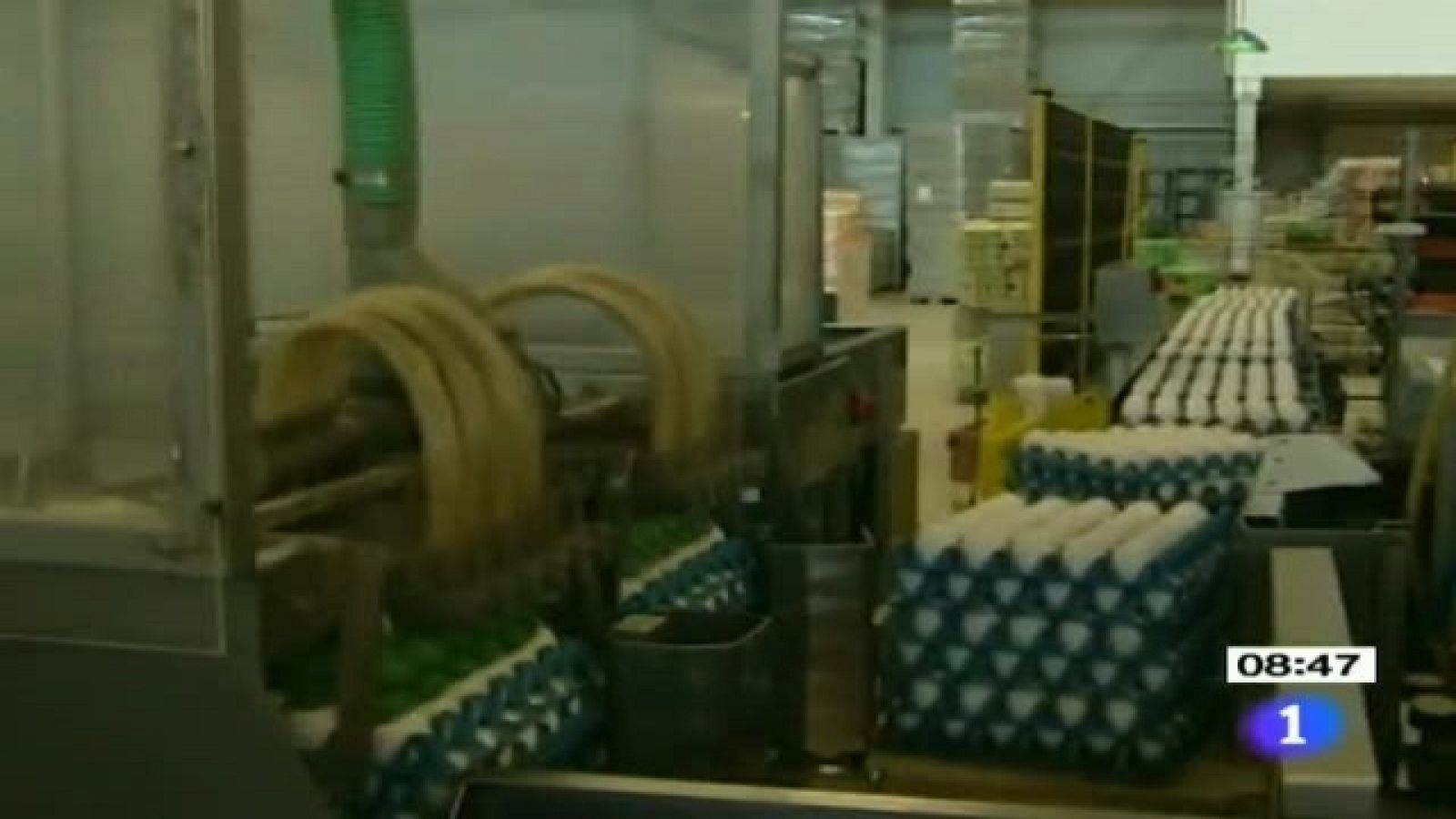 Telediario Matinal - 10/01/11 | Ver