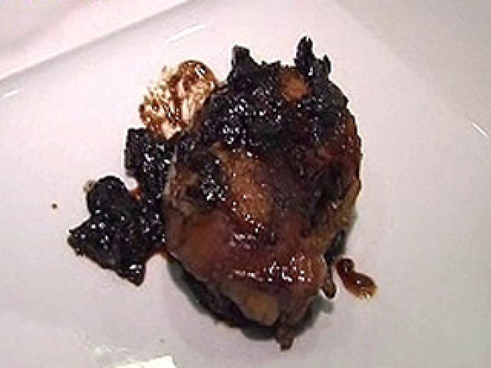 España Directo - Jamoncitos de pollo relleno