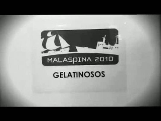 Gelatinosos en el Hespérides