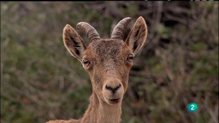 Biodiario - Biodiario - 10/01/11