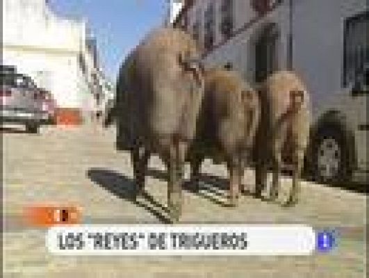 España Directo - Tres cochinos y un sorteo