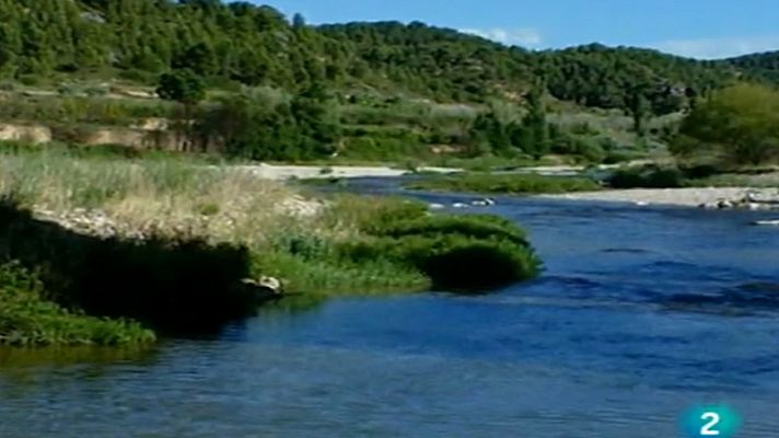 Racons de verd - Els Ports