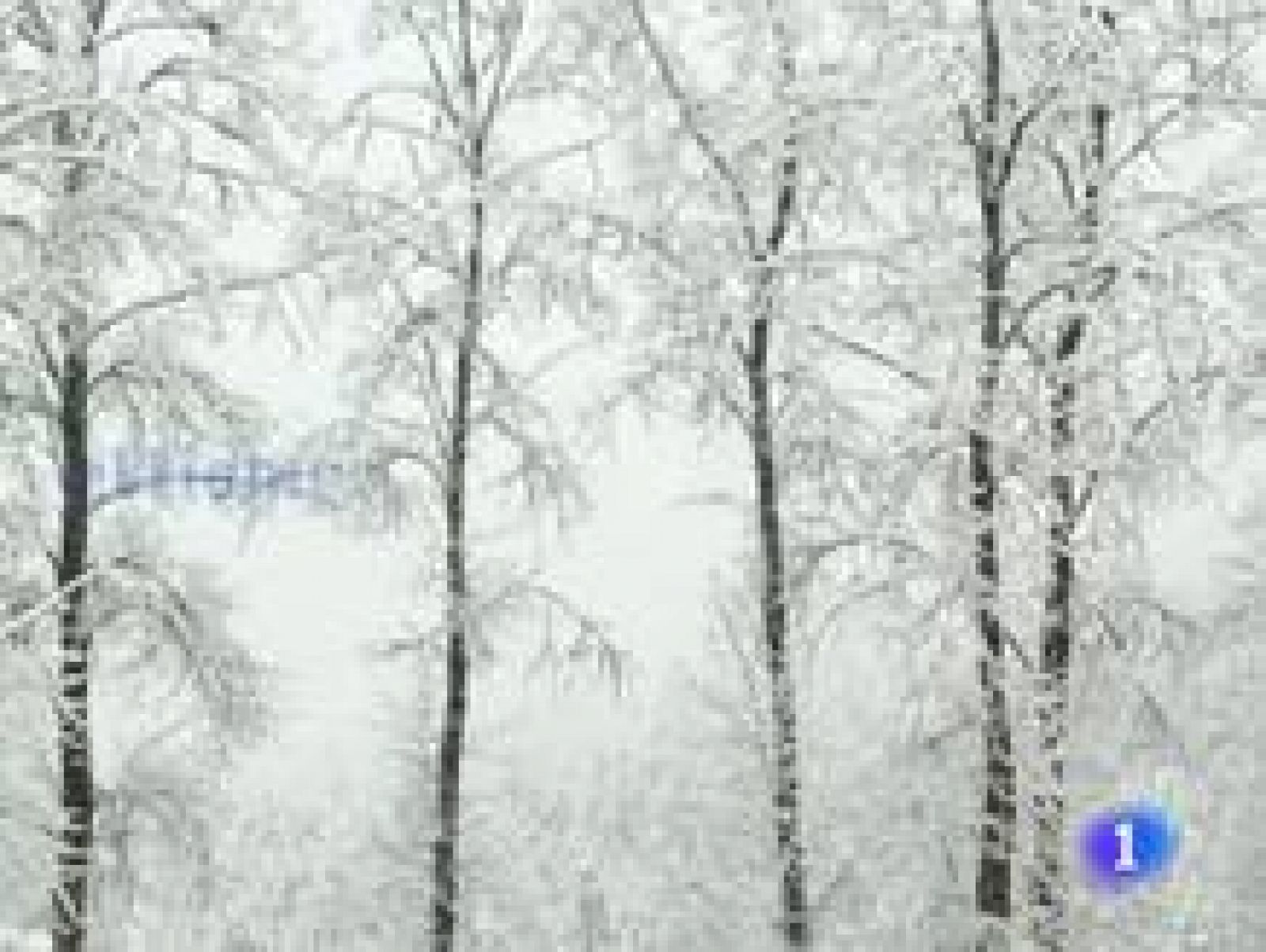 El tiempo en La Rioja - 11/01/11 | Ver