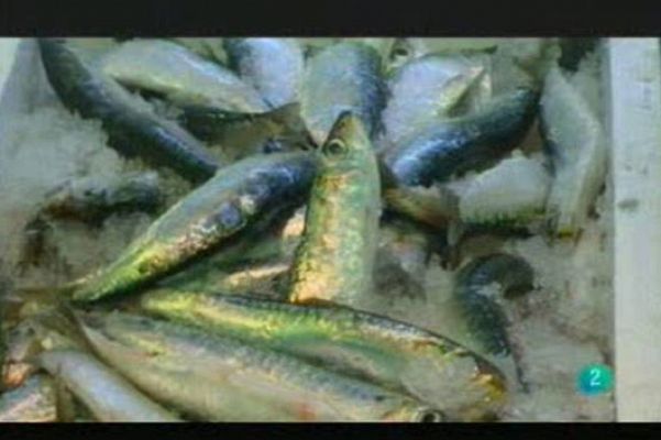 Para todos La 2 - El pescado azul