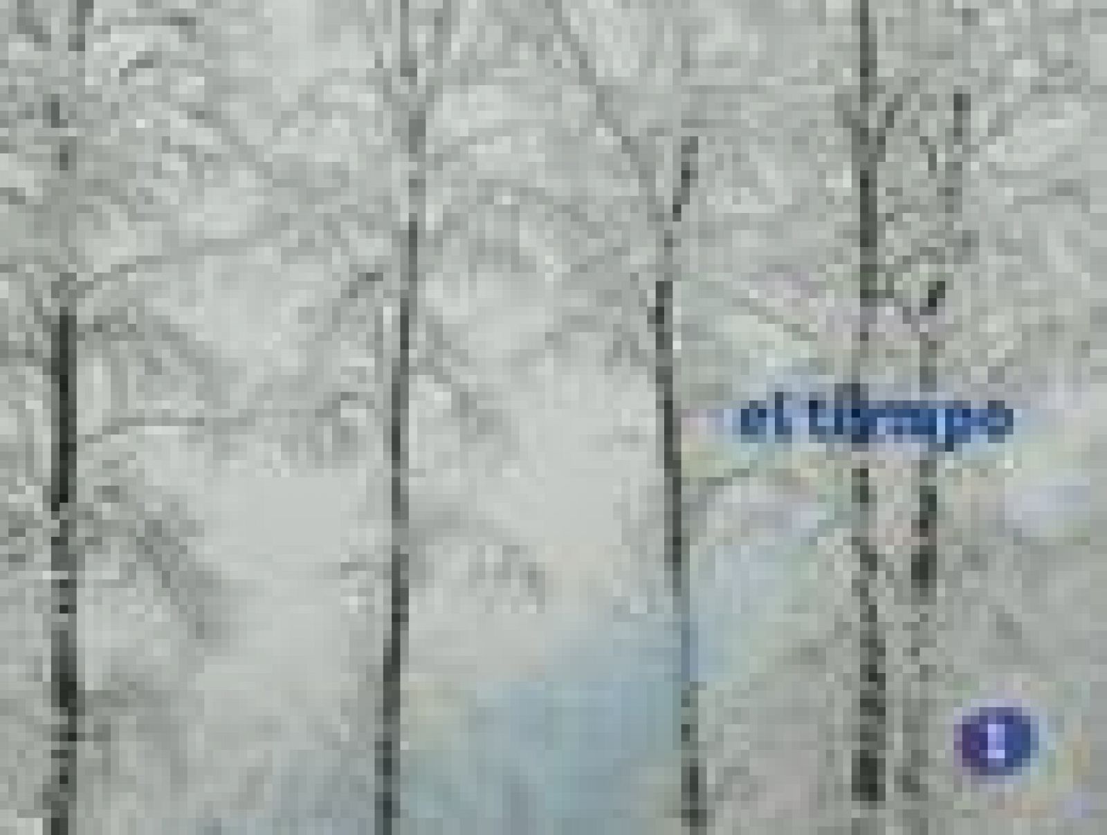 El tiempo en Castilla-La Mancha - 12/01/11 | Ver