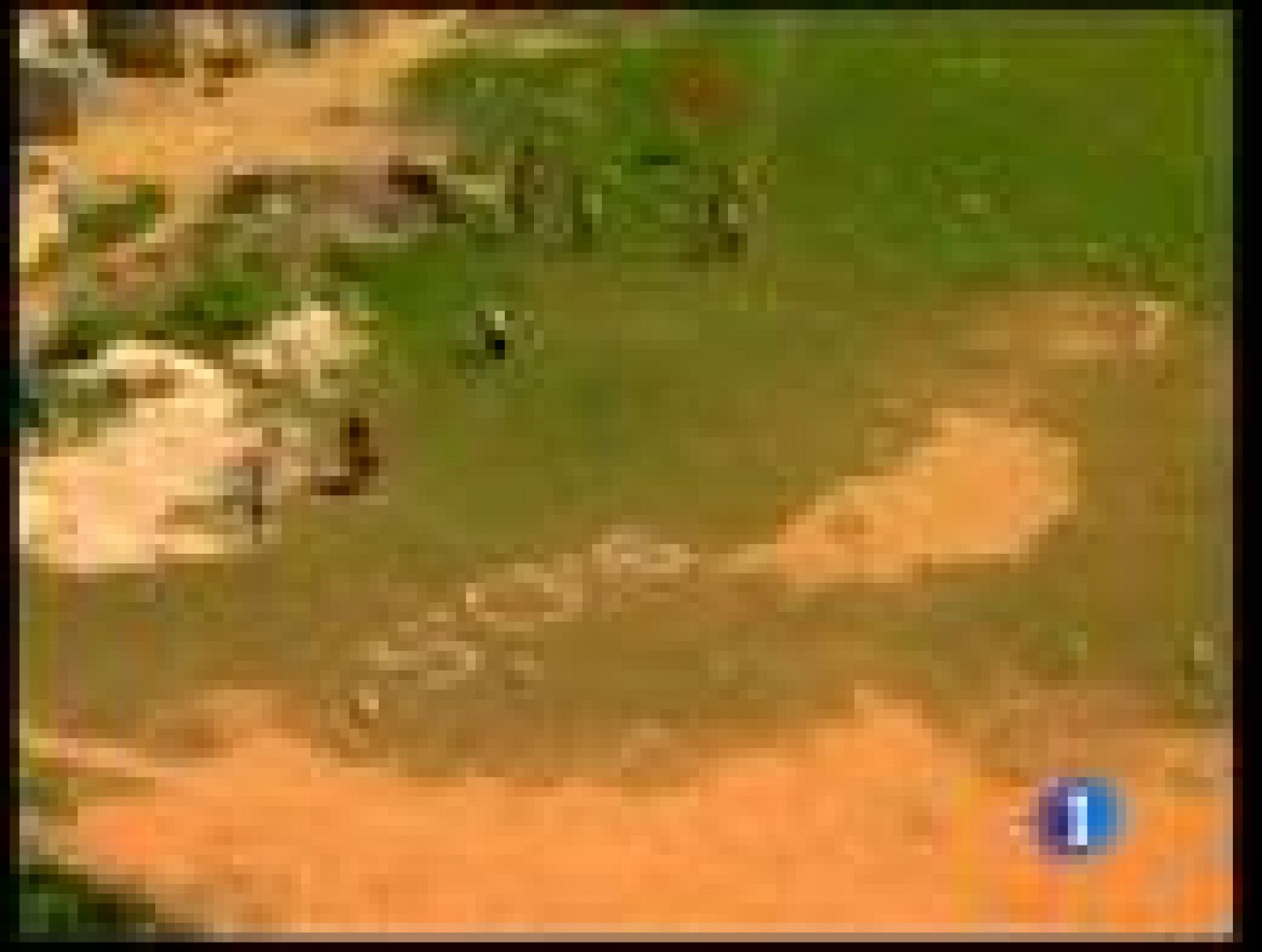 Un año después, buena parte del dinero prometido por los gobiernos no ha llegado a Haití