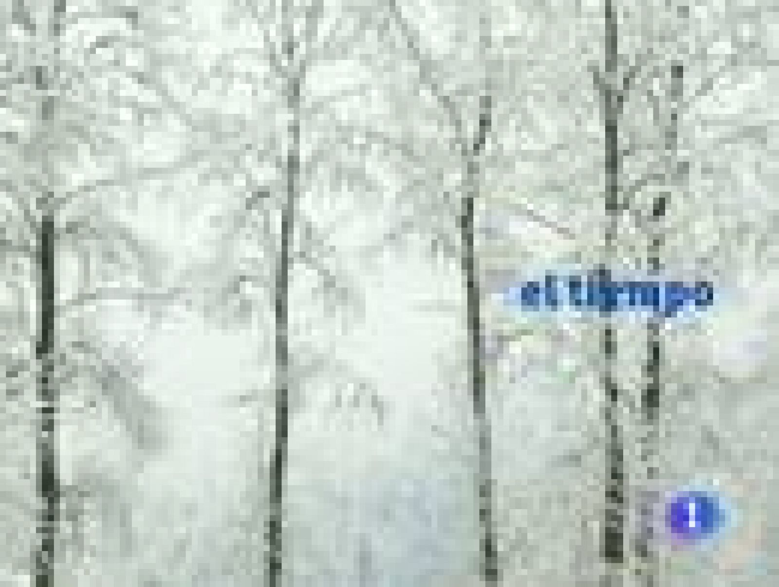 El tiempo en Canarias - 12/01/11 | Ver