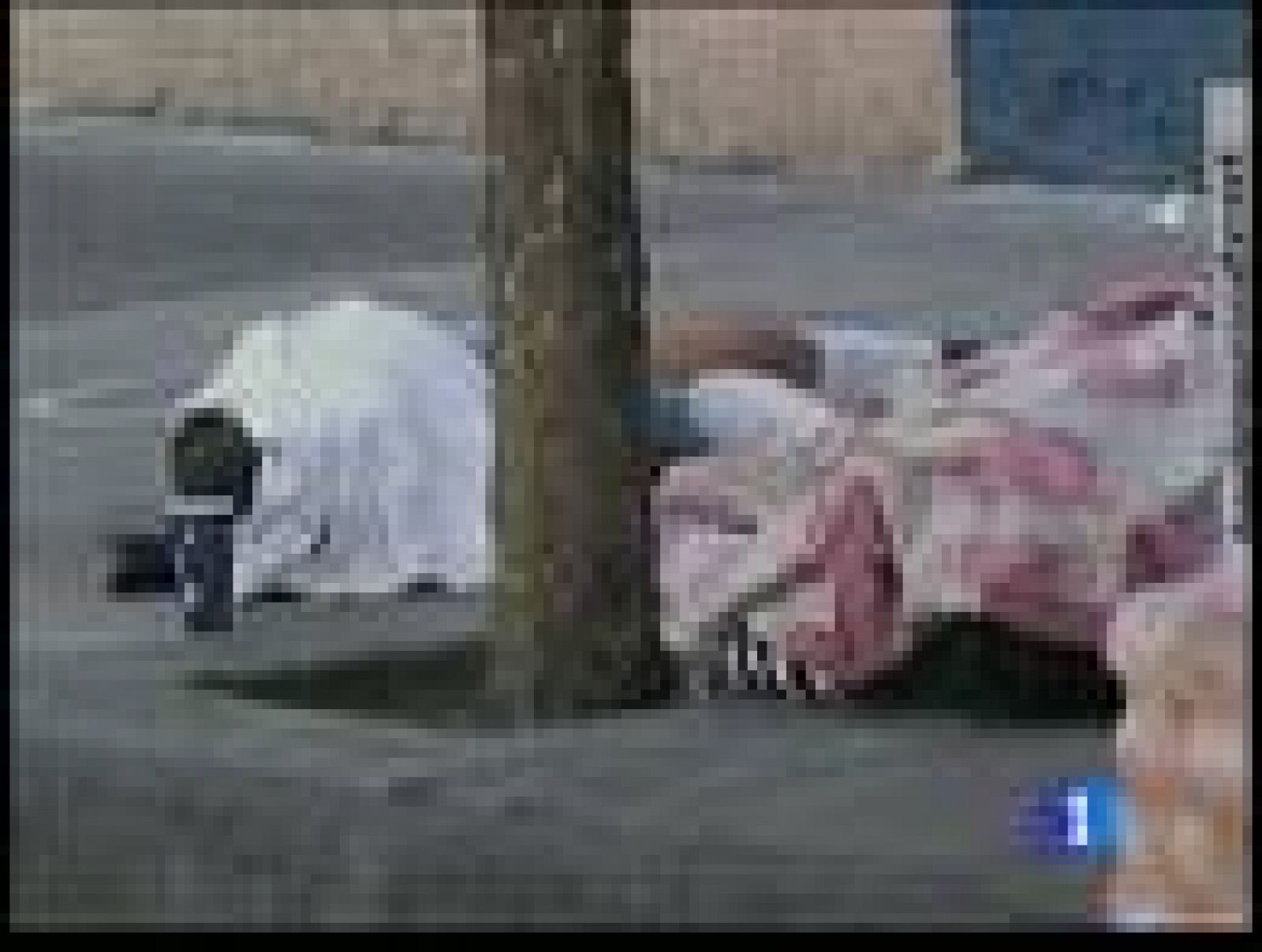 En México, el año pasado hubo 15.000 muertes relacionadas con el crimen organizado | Ver