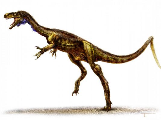 El Eodromaeus, el pariente diminuto del 'Tyrannosaurus rex'