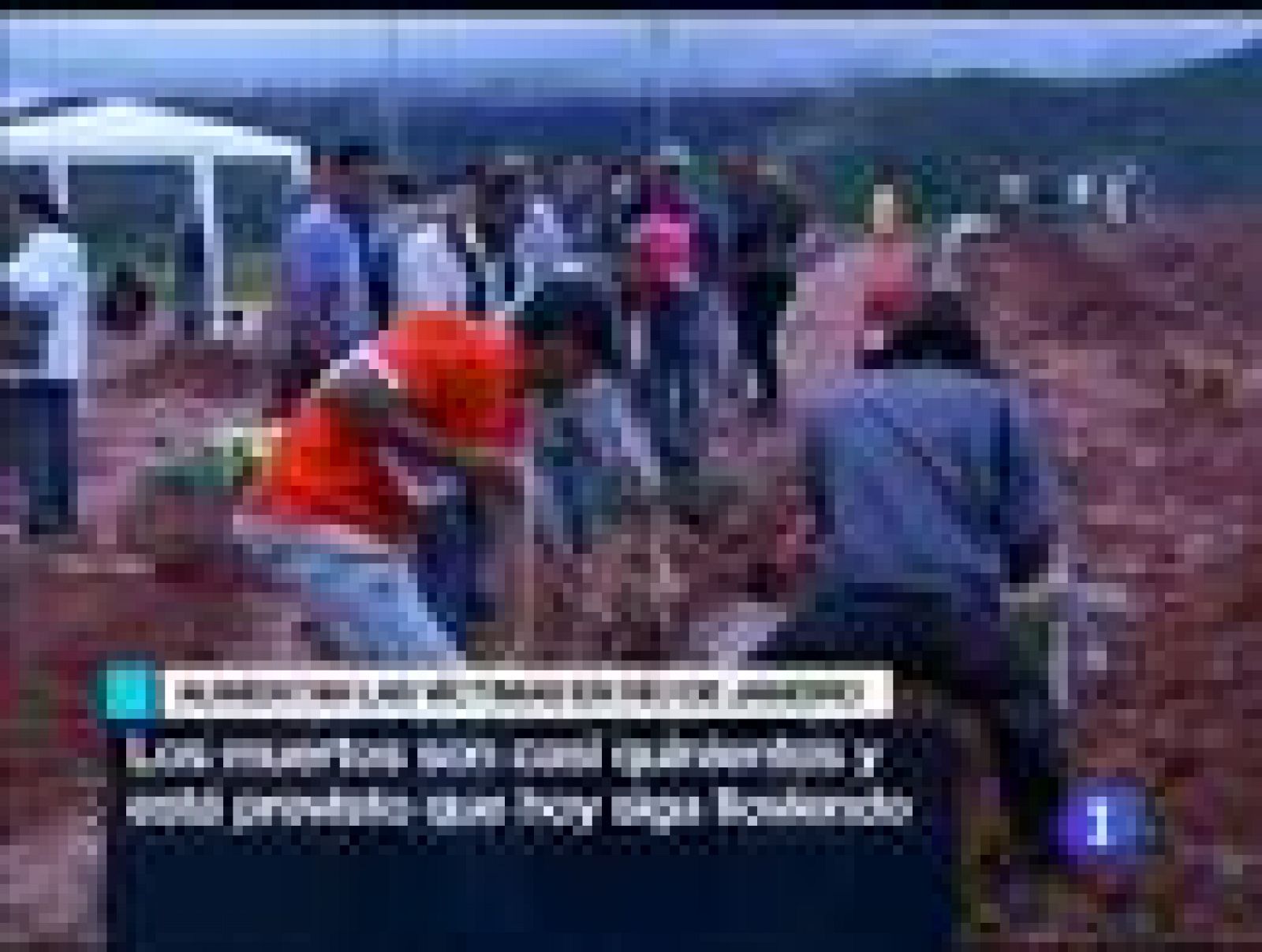 Telediario Matinal en cuatro minutos - 14/01/11 | Ver