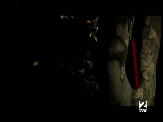 Página Dos - Página 2 - Entrevistas