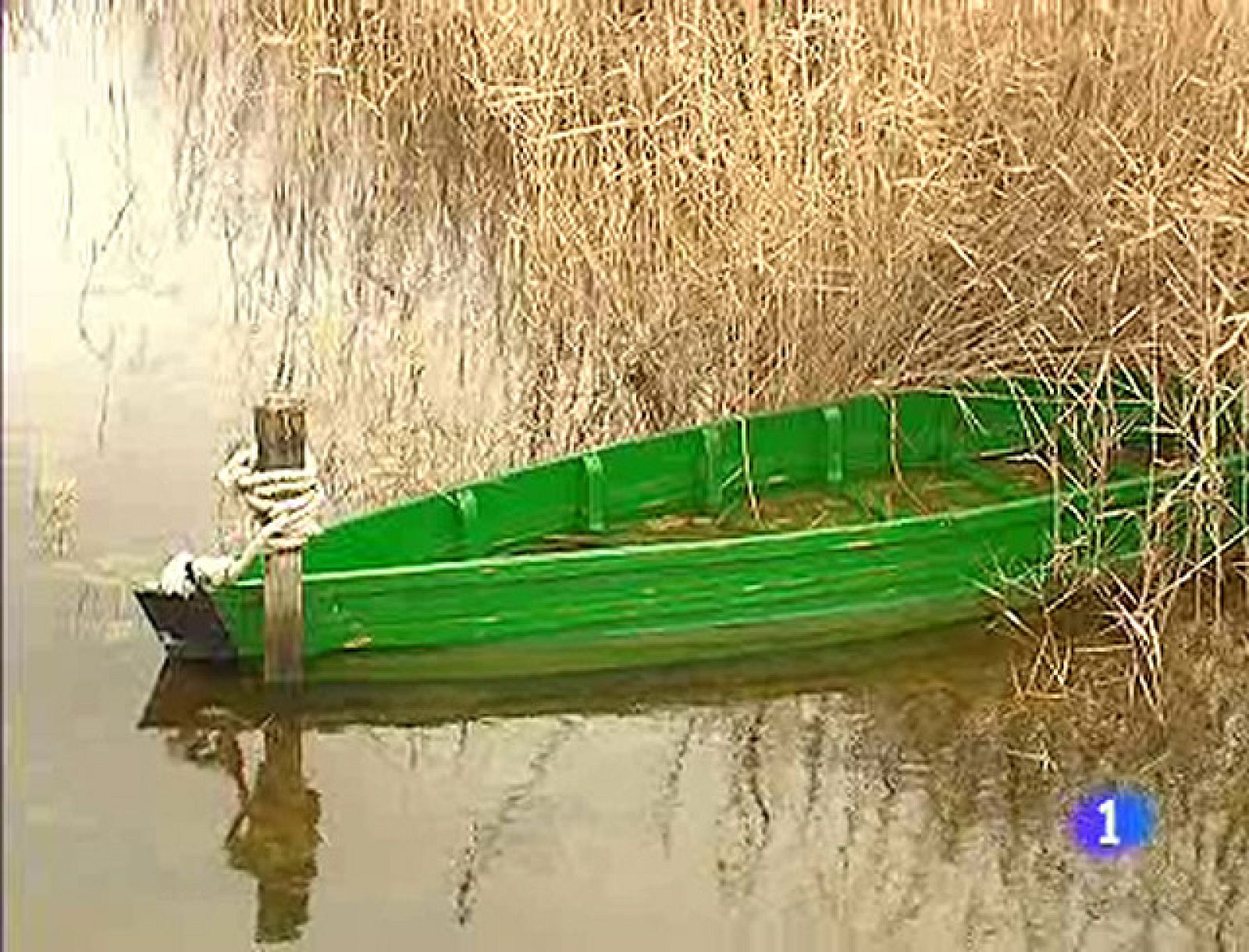 Resucitan las Tablas de Daimiel