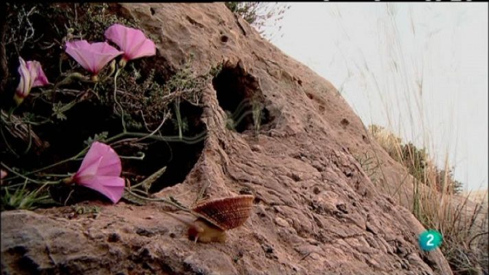 Biodiario - Biodiario - 15/01/11