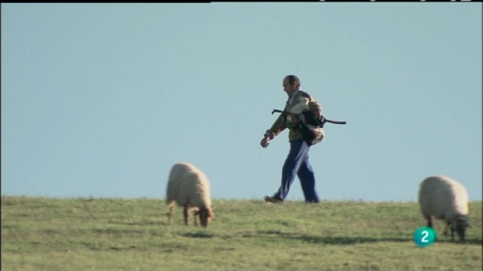 Biodiario - 16/01/11 - Biodiario | Ver