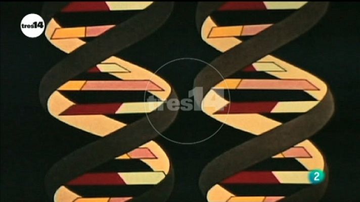 tres14 - Herencia genética