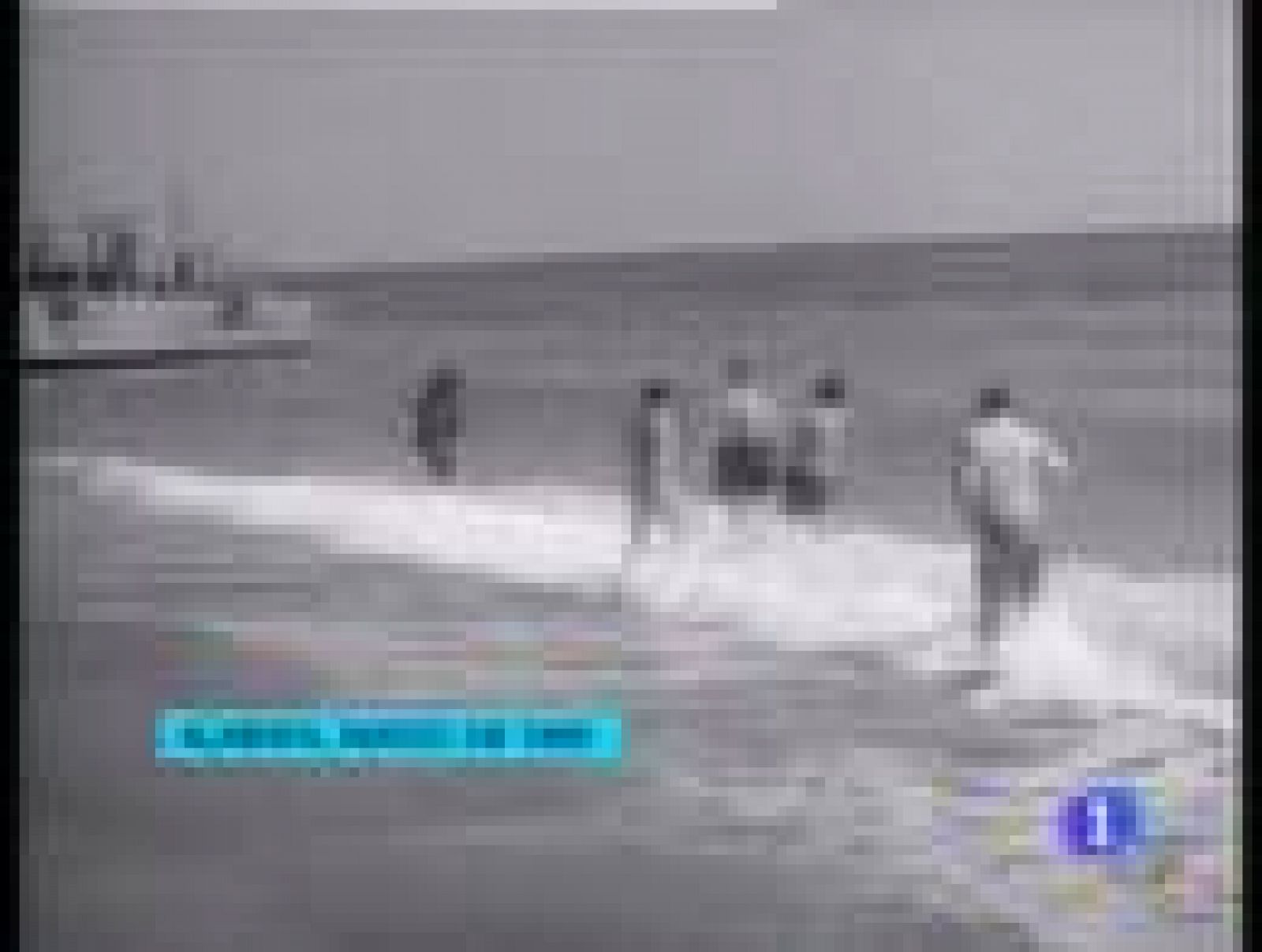 Reclaman que se limpie Palomares