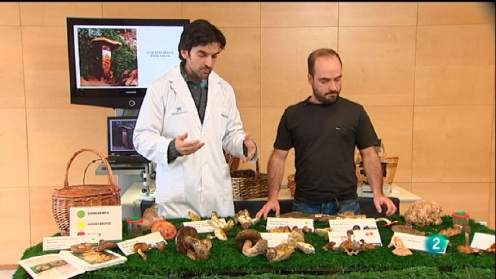 La aventura del saber - 17/01/11 - La aventura del Saber | Ver