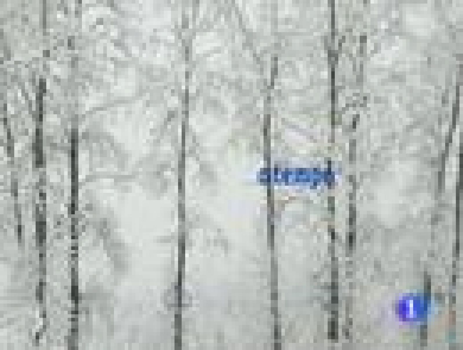 El tiempo en la Comunidad de Galicia - 17/01/11