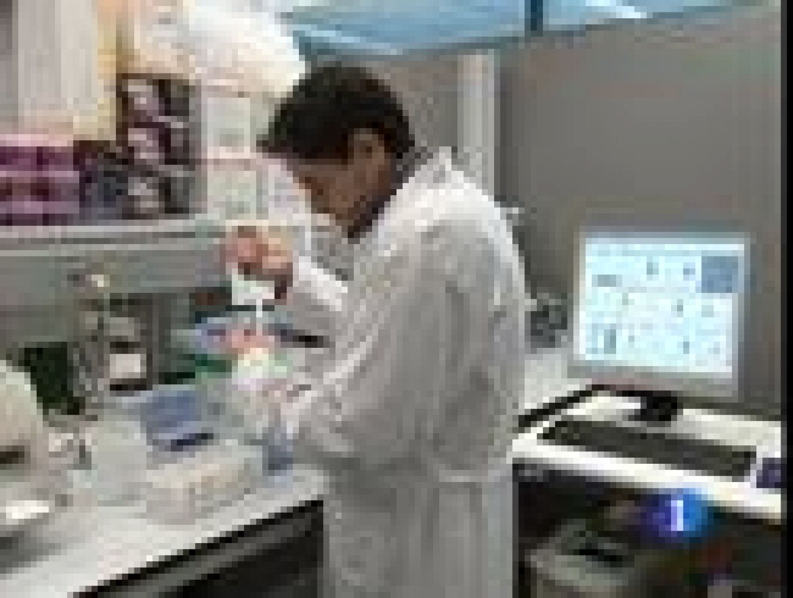 Ensayo clínico con lesionados medulares utilizando sólo unas determinadas células madre llamadas estroma