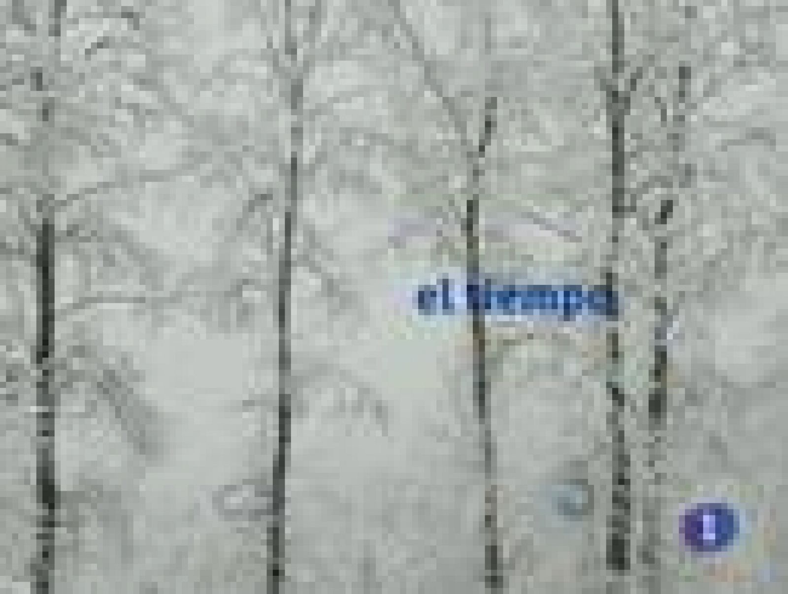 El tiempo en Castilla-La Mancha - 17/01/11 | Ver