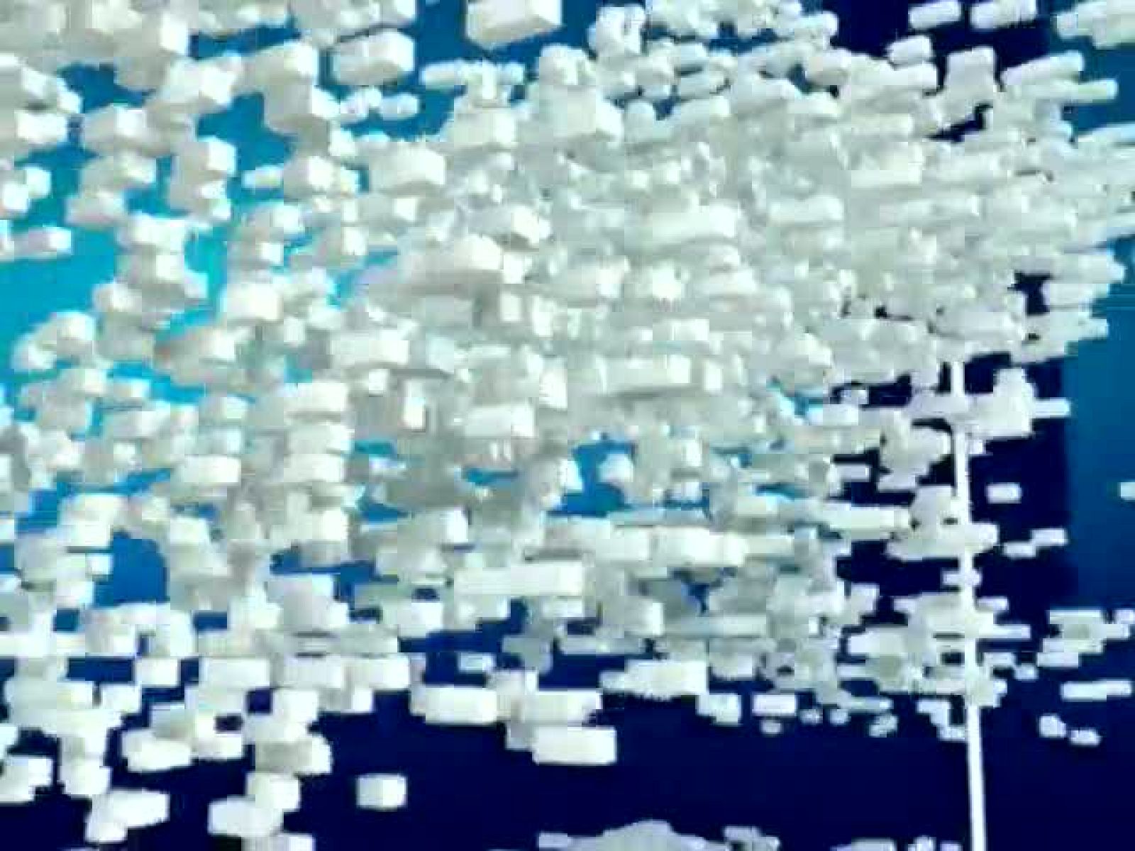 Telecanarias - 17/01/11 | Ver