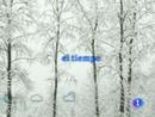 Telecanarias - El tiempo en Canarias - 17/01/11