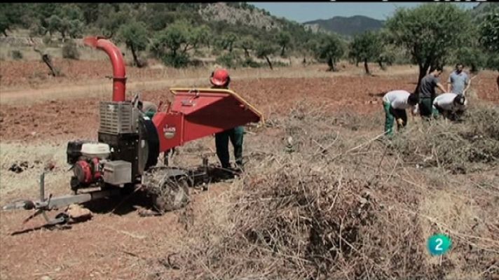 Biodiario - Biodiario - 17/01/11