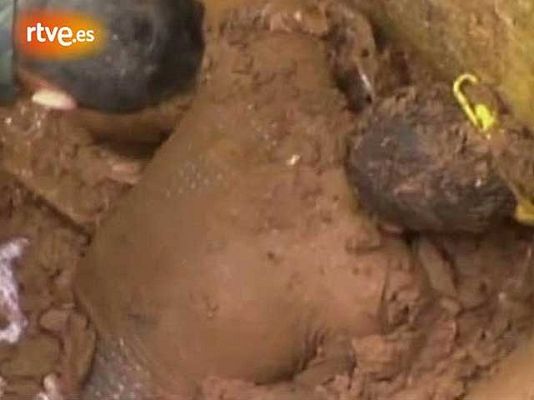  - Milagroso rescate en Brasil