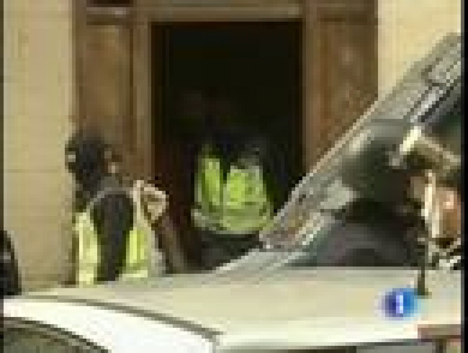 Diez detenidos en una doble operación contra el entorno de ETA en Navarra y Álava