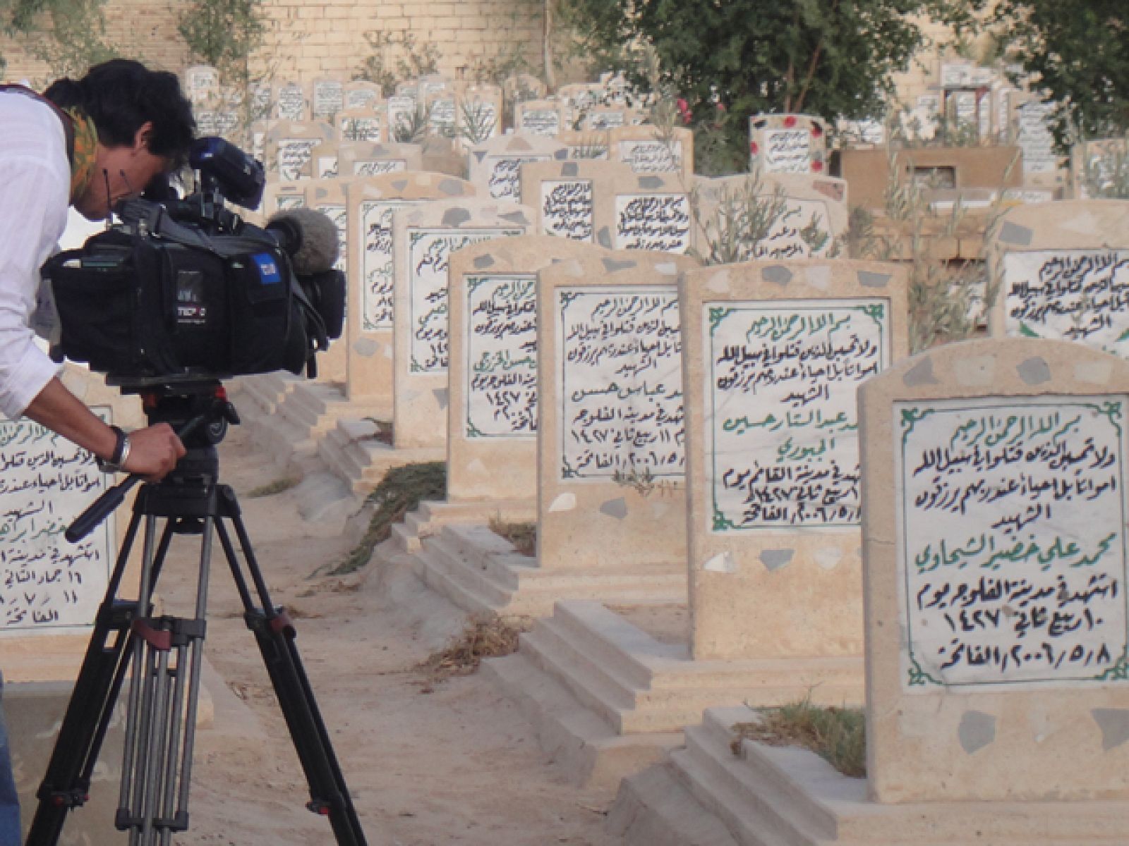 En portada - Faluya, la ciudad de las mezquitas | Ver