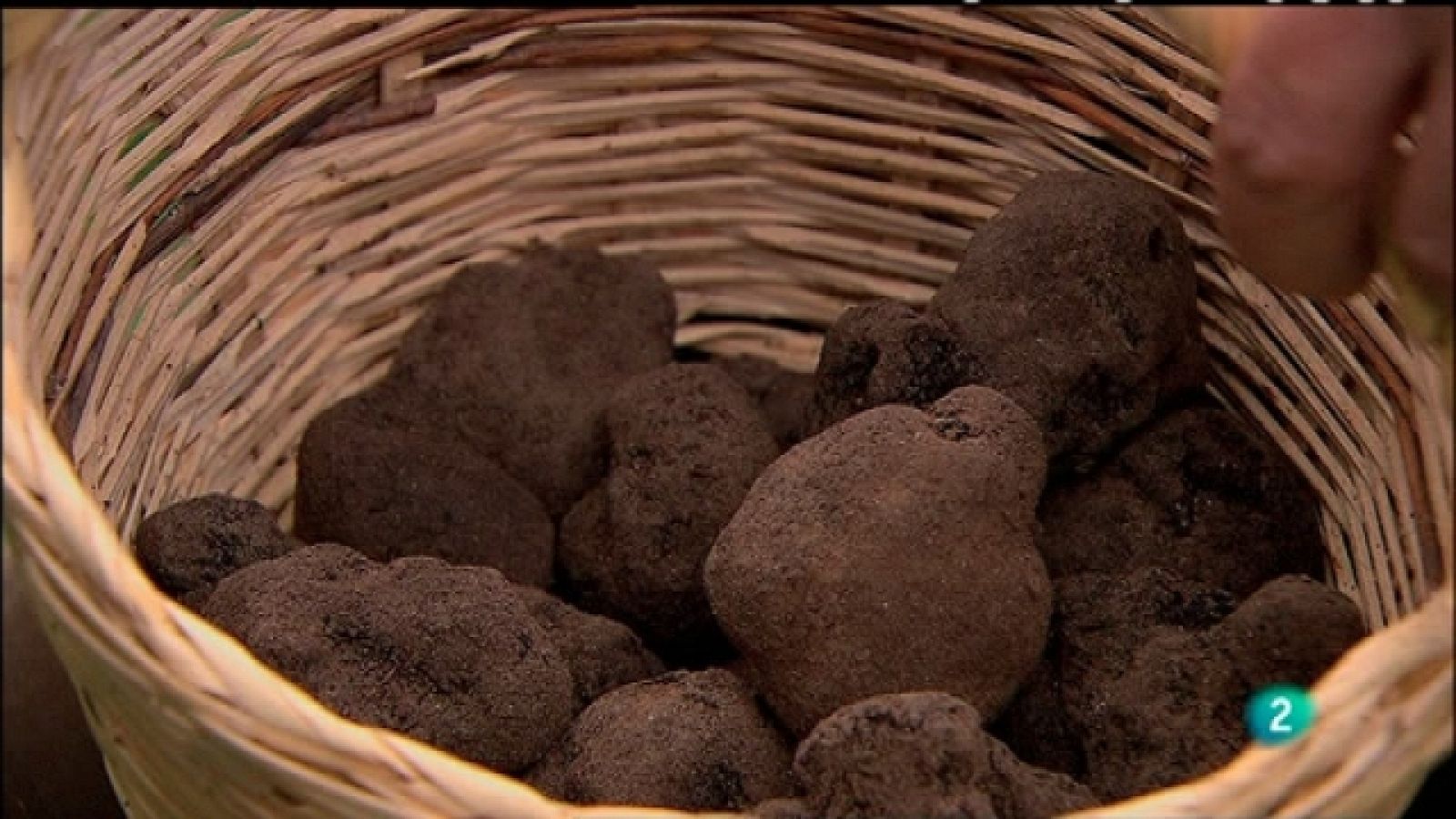 Biodiario - 18/01/11 - Biodiario | Ver