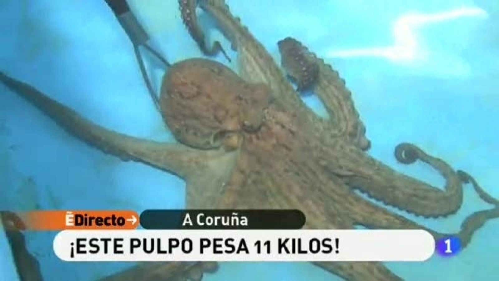 España Directo - 18/01/11