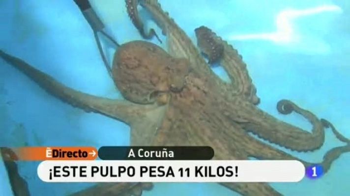 España Directo - 18/01/11