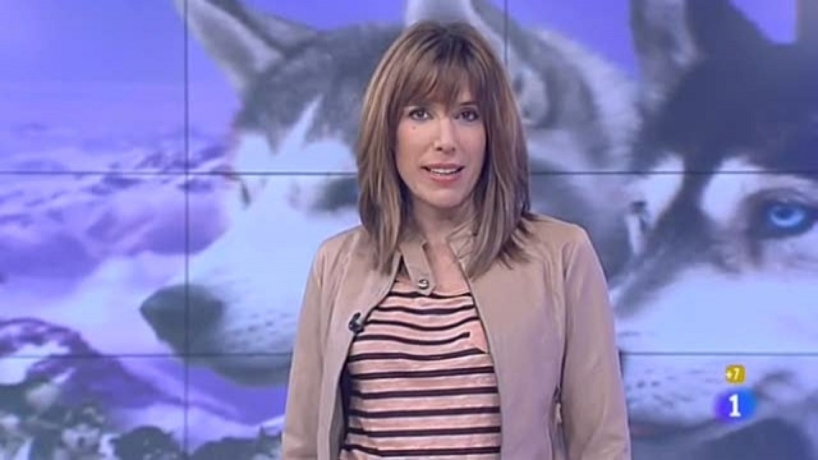 Gente - 18/01/11 - Gente | Ver