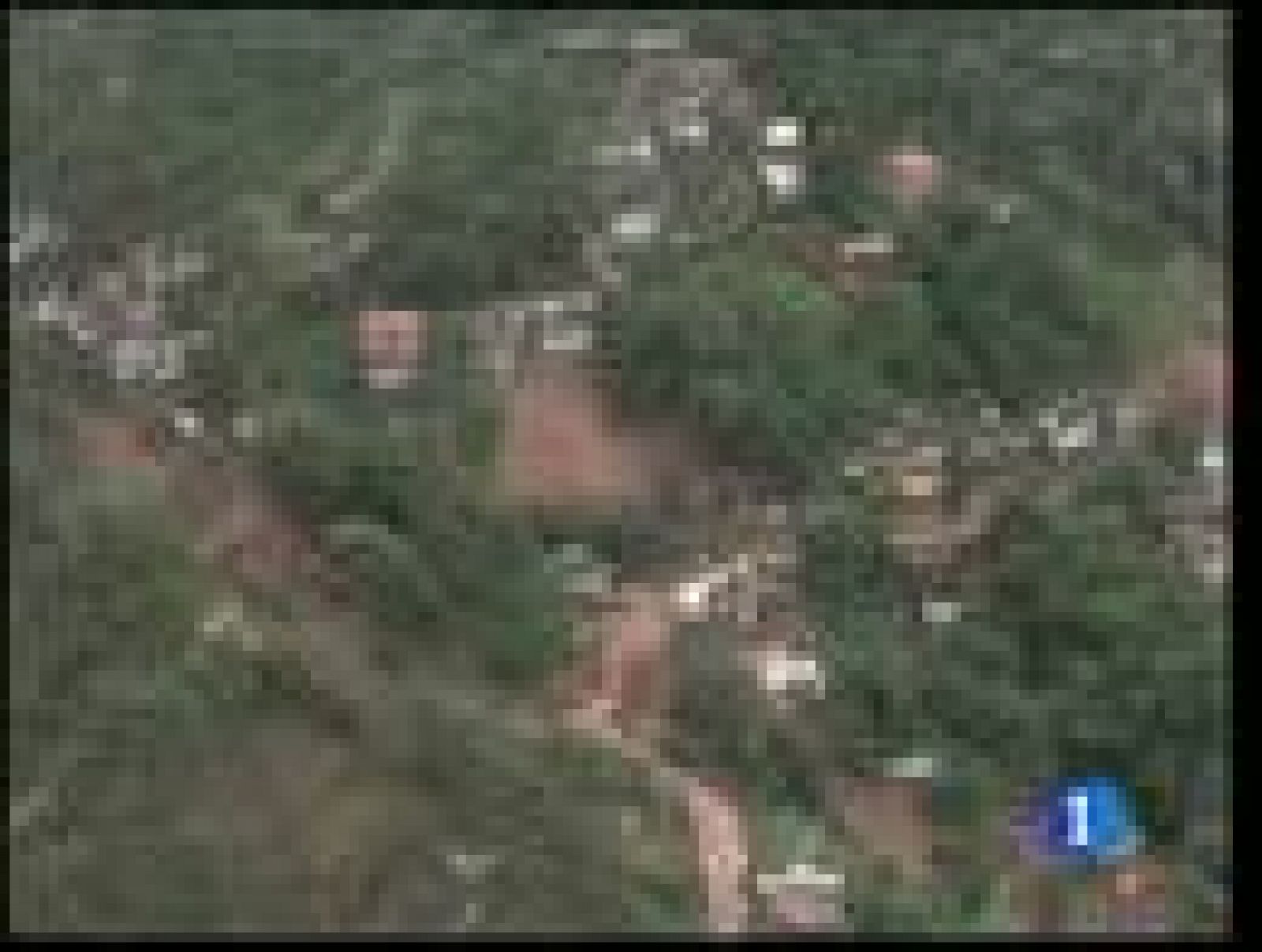 En Brasil, la cifra de muertos por las fuertes lluvias supera los 700