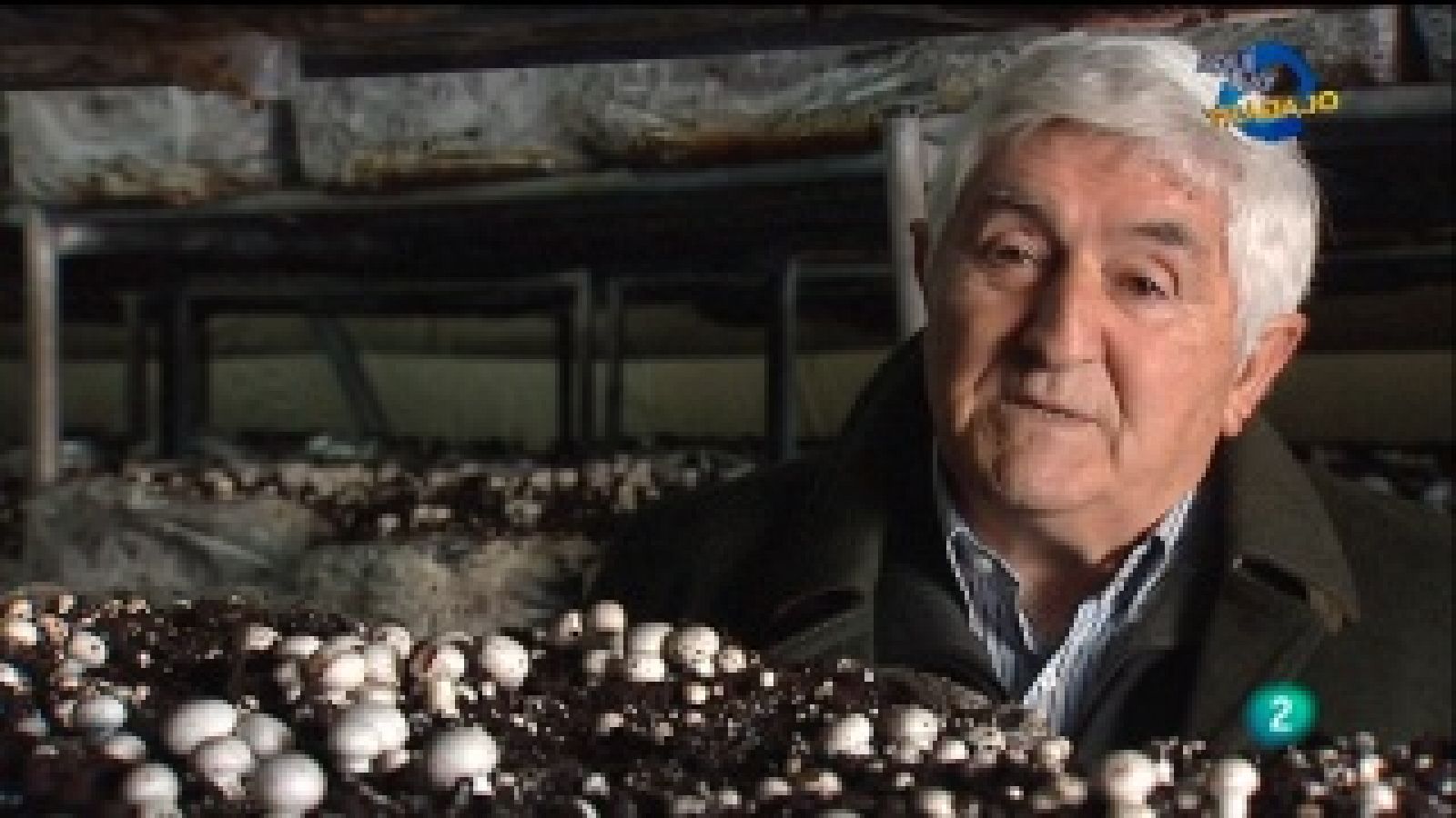 Aquí hay trabajo - 20/01/11 - Aquí hay trabajo | Ver