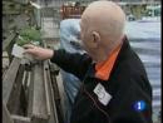 Telediario 1 - Edad de jubilación en Reino Unido