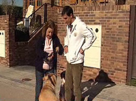 España Directo - Gloria, adiestradora de perros