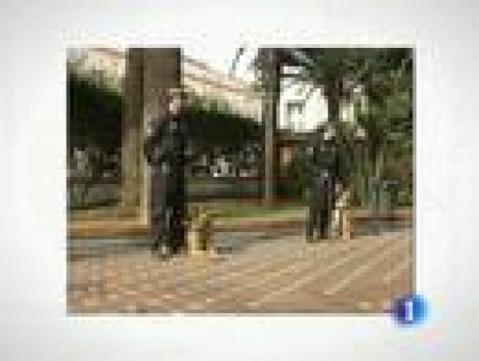 Noticias de Melilla - Noticias de Melilla - 21/01/11