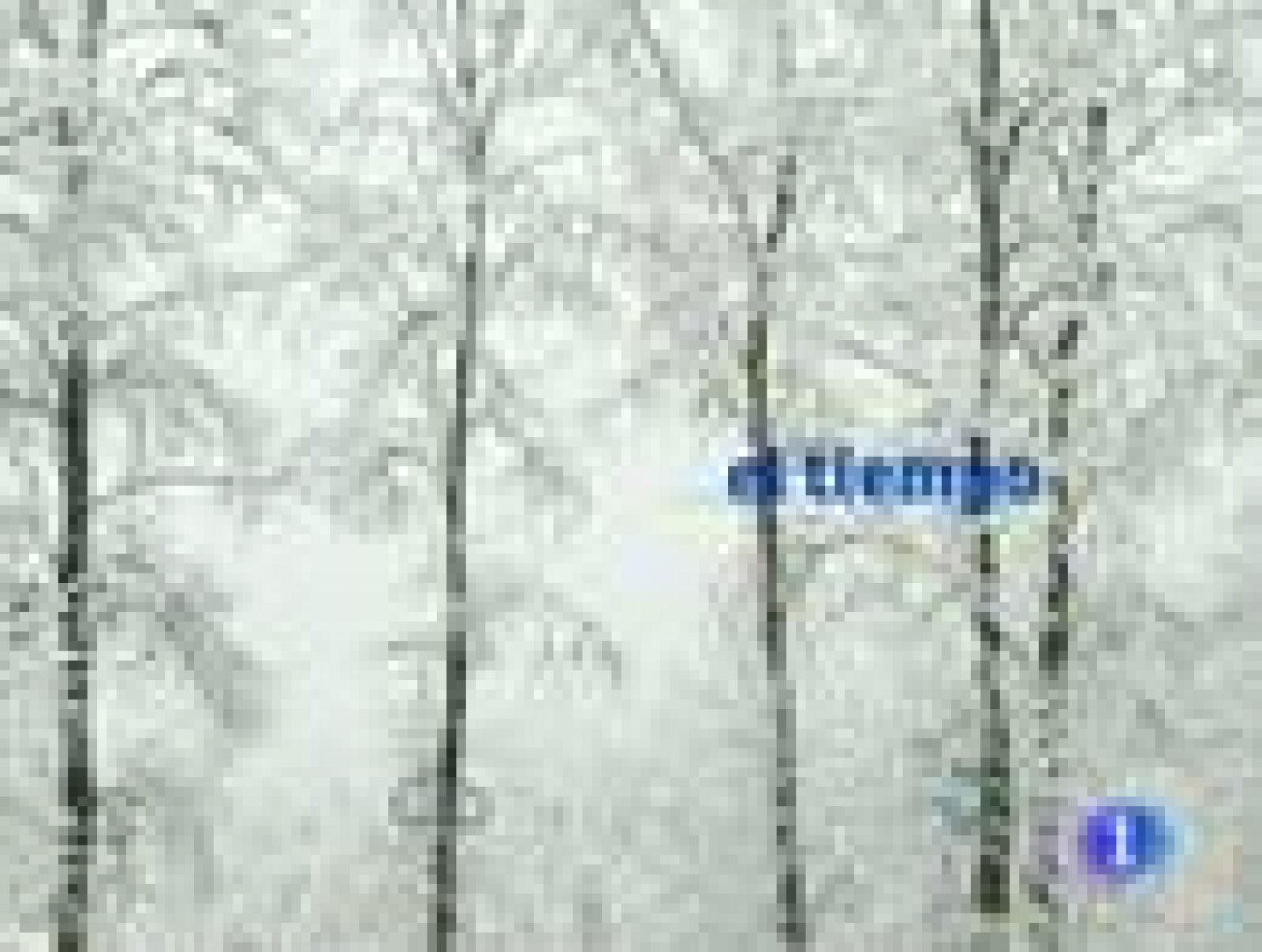 Noticias Murcia: El tiempo en la Región de Murcia - 21/01/11 | RTVE Play