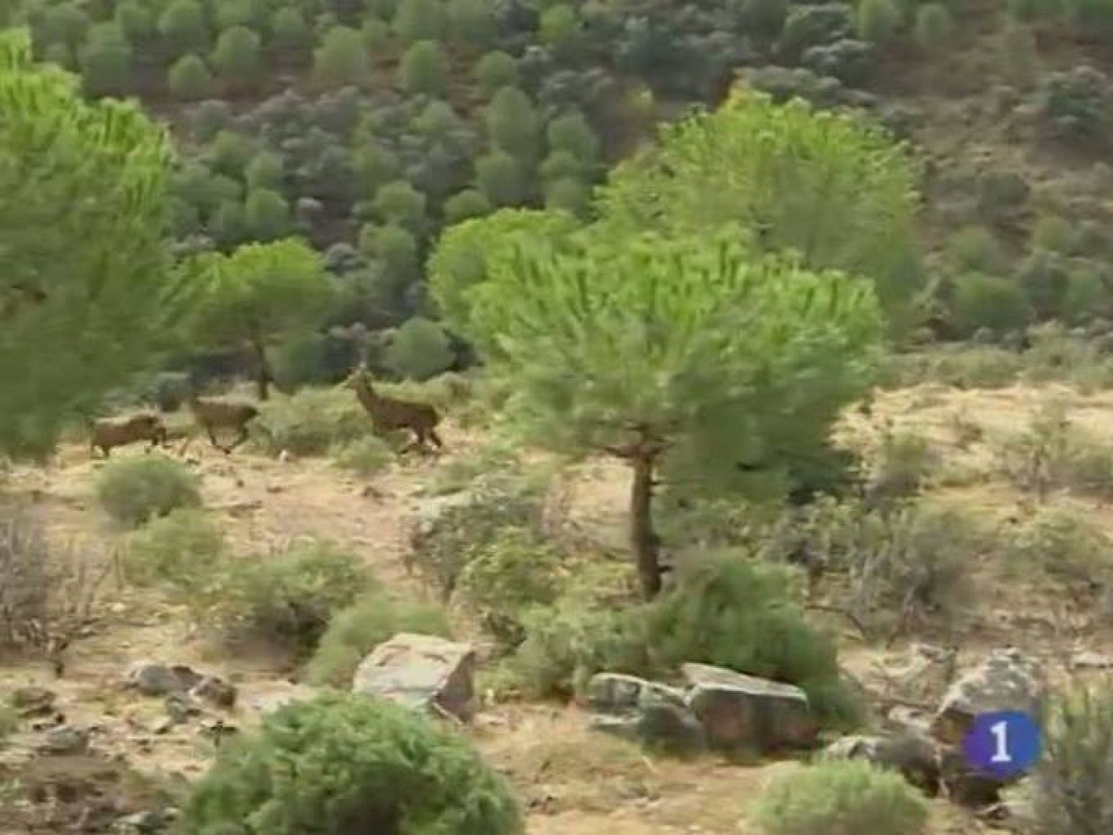 Castilla-La Mancha en 2' - 21/01/11 | Ver