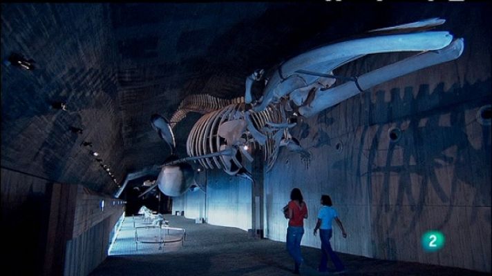 Biodiario - Biodiario - 21/01/11