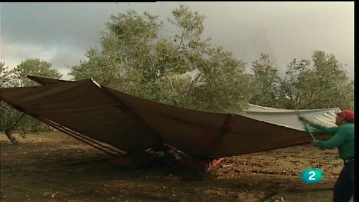 Agrosfera - Agrosfera - 22/01/11