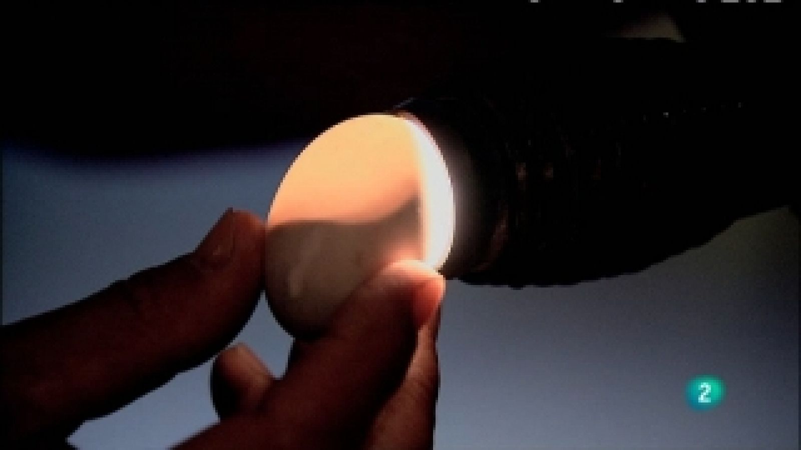 Biodiario - 23/01/11 - Biodiario | Ver