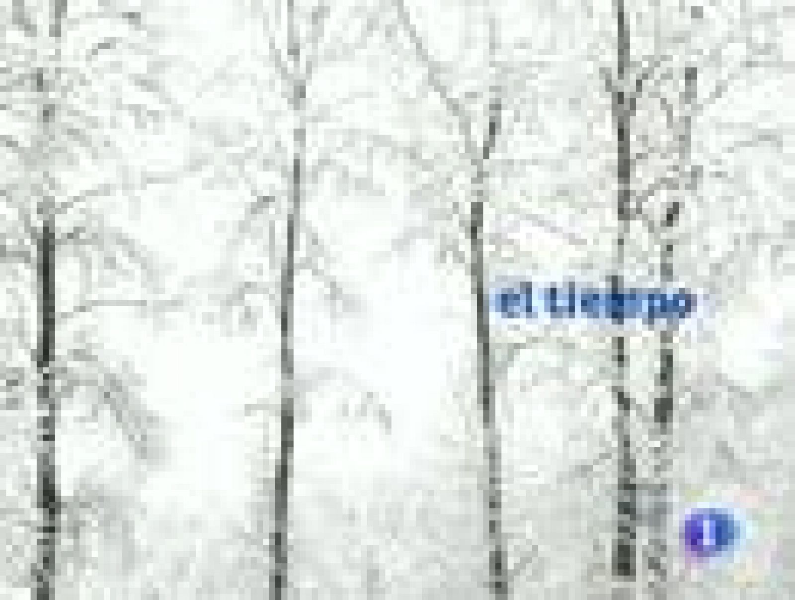 El tiempo en Castilla y León - 24/01/11