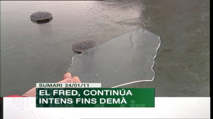 L'informatiu - Comunitat Valenciana - Comunidad Valenciana en 2' - 24/01/11