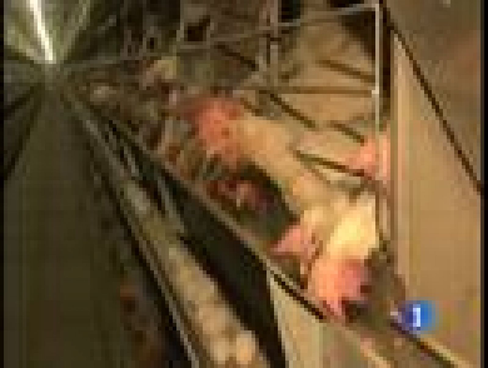 La crisis de piensos contaminados con dioxinas