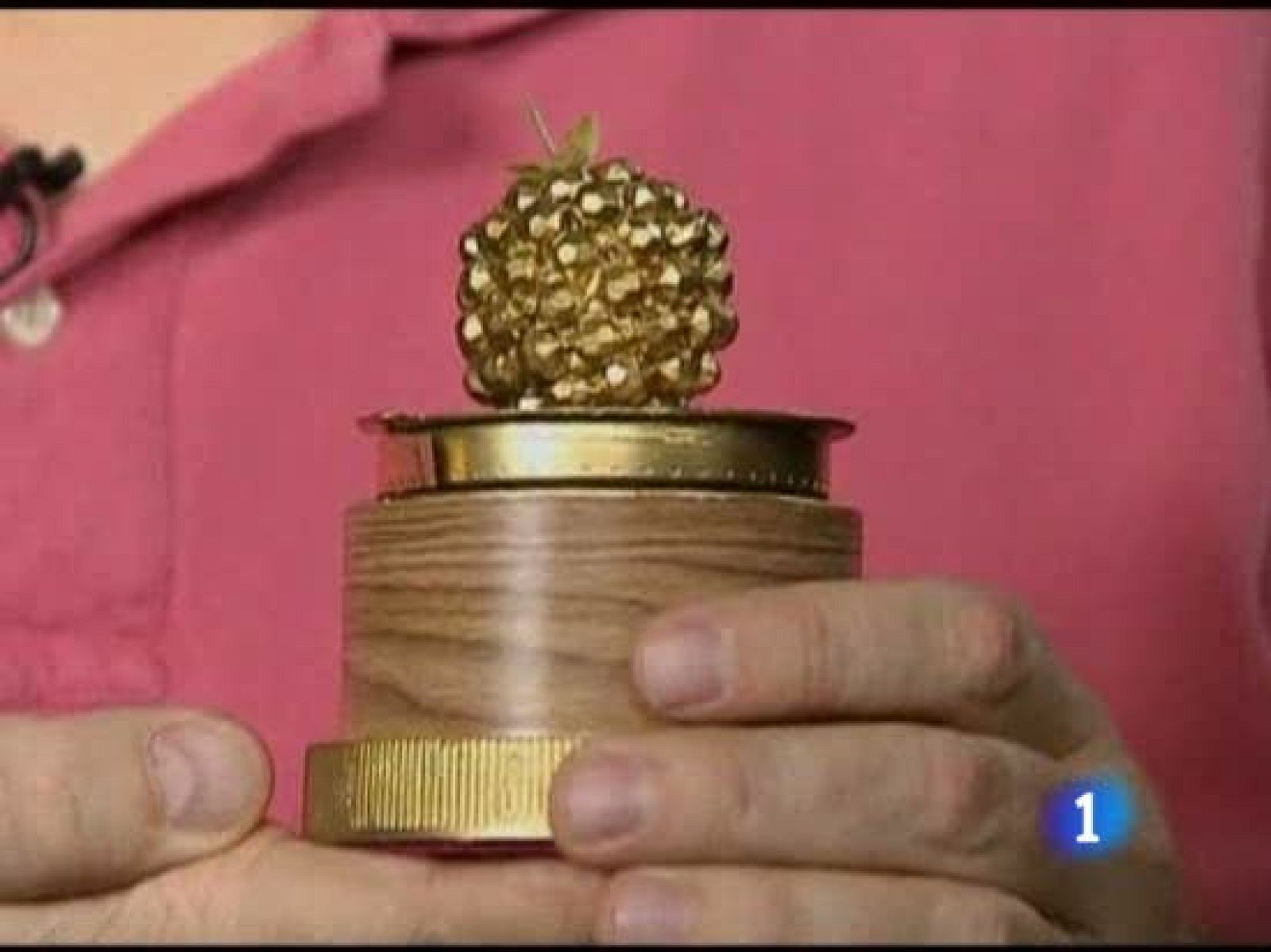 Los "Razzies", los premios de cine a los peores trabajos de la temporada