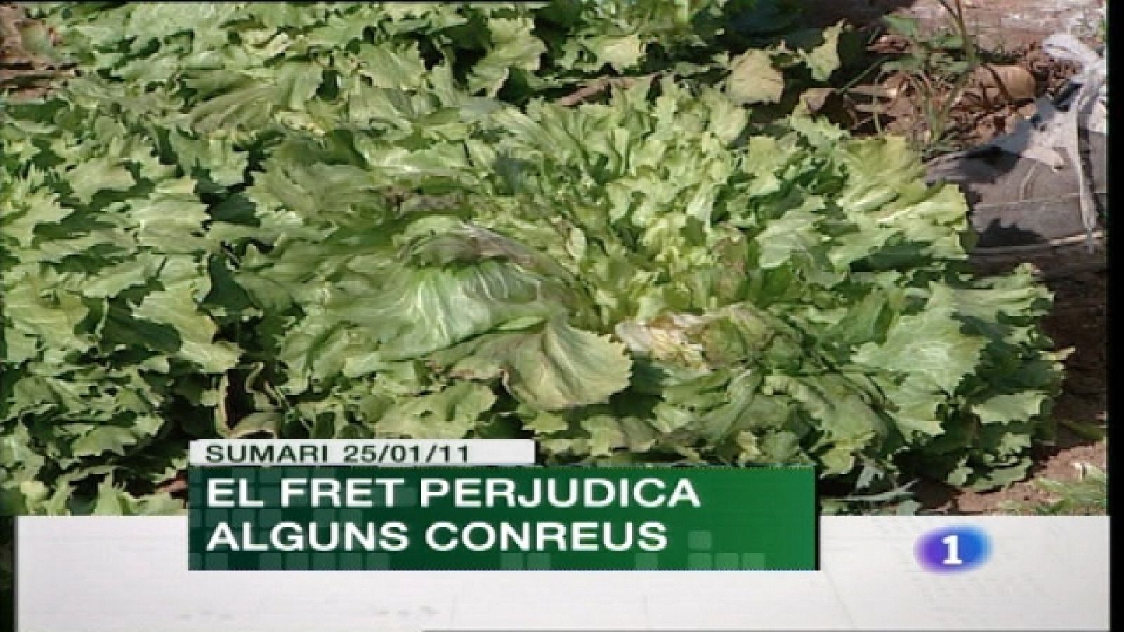 Comunidad Valenciana en 2' - 25/01/11 | Ver